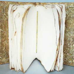 Been Burnt B4, (inside) 2016, 7.5 x 10.10.75 x 5.5", board, paper, metal, acrylic paint, gold thread, fire