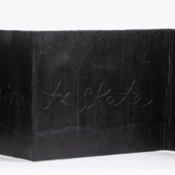 Thin Ice, collaboration with Luciana Abait, (interior), 2022, 10 x 58 x 13.5", mixed media artists' book