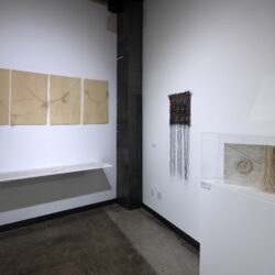 “Three Sisters and Their Mother”, 2022,  30” x 72” (dimensions variable), canvas, hemp cord, sunlight, gravity, time