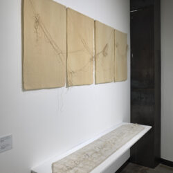 “Three Sisters and Their Mother”, 2022,  30” x 72” (dimensions variable), canvas, hemp cord, sunlight, gravity, time