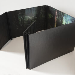 In The Woods, (half open view), collaboration with Michelle Robinson. 2025, 12" x 20" x 20", Artists' Book: book board, assorted paper/s, hemp cord, archival inks
