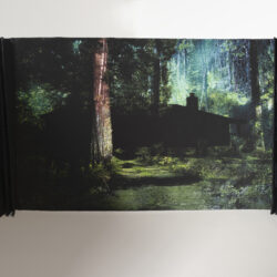 In The Woods, (interior view), collaboration with Michelle Robinson. 2025, 12" x 20" x 20", Artists' Book: book board, assorted paper/s, hemp cord, archival inks