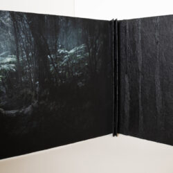 In The Woods, (side detail view), collaboration with Michelle Robinson. 2025, 12" x 20" x 20", Artists' Book: book board, assorted paper/s, hemp cord, archival inks